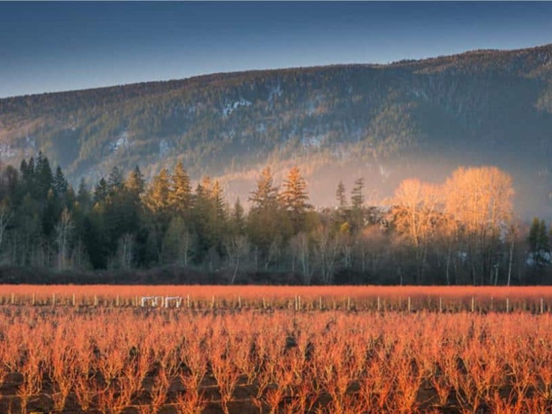 photo of field agricultural plan