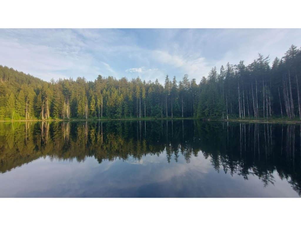 photo of a lakes in pitt meadows