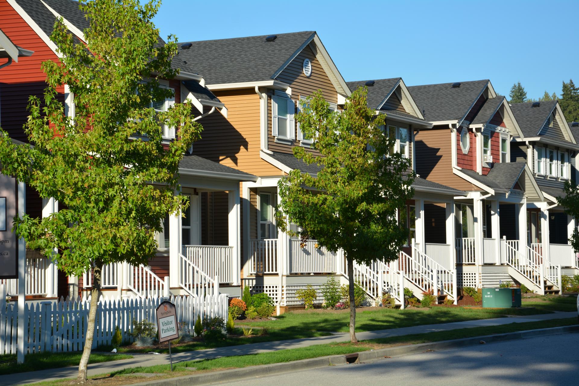 Maple Ridge blows past tree-planting target – The Ridge